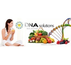 La tua attività on line con DNA solutions!