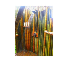 Compro - Vendo - Vendo canne di bambù bambu con diametro da 1 a 10 cm.