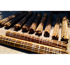 Compro - Vendo - Vendo canne di bambù bambu con diametro da 1 a 10 cm.