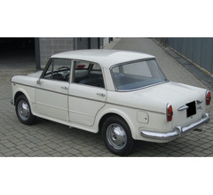 Auto - Fiat 1100 Special