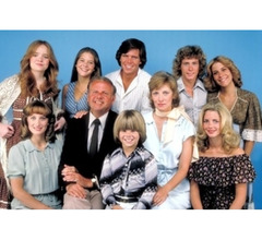 La famiglia Bradford serie televisiva anni 70/80 completa