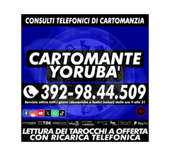 Oroscopi - tarocchi - Visto in TV - Cartomante YORUBA'
