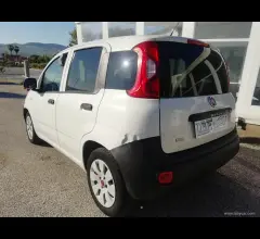 Auto - Fiat panda 1.3 mjt s&s pop van 2 posti
