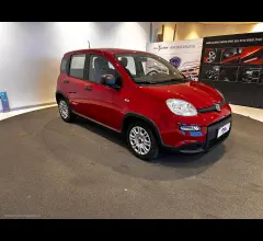 Auto - Fiat panda 1.0 firefly s&s hybrid