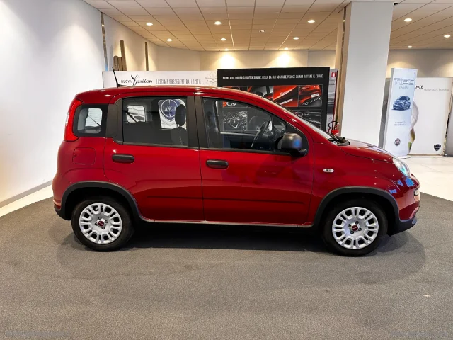 Auto - Fiat panda 1.0 firefly s&s hybrid