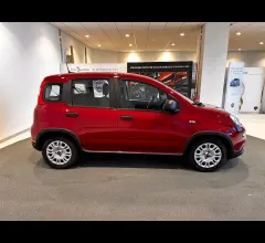 Auto - Fiat panda 1.0 firefly s&s hybrid