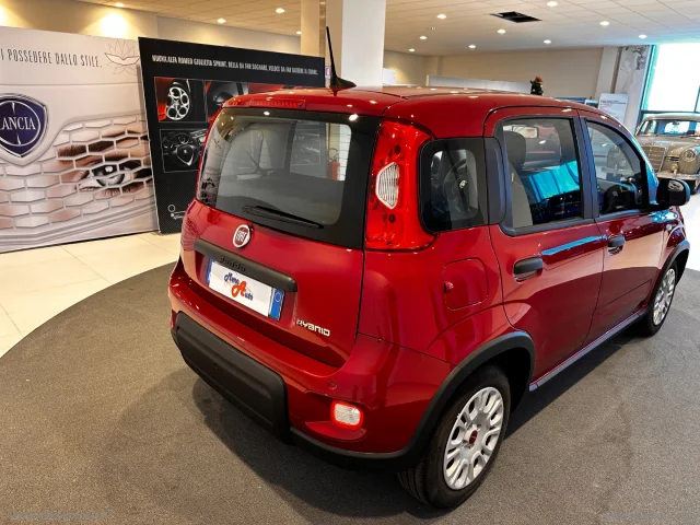 Auto - Fiat panda 1.0 firefly s&s hybrid