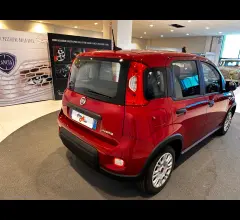 Auto - Fiat panda 1.0 firefly s&s hybrid