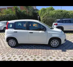 Auto - Fiat panda 1.2 easypower lounge