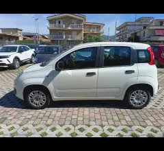 Auto - Fiat panda 1.2 easypower lounge