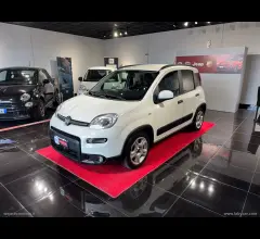 Auto - Fiat panda 1.0 firefly s&s hybrid