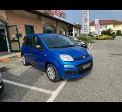 Auto - Fiat panda 1.0 firefly s&s hybrid