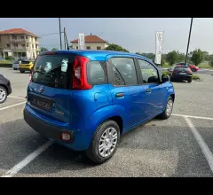 Auto - Fiat panda 1.0 firefly s&s hybrid