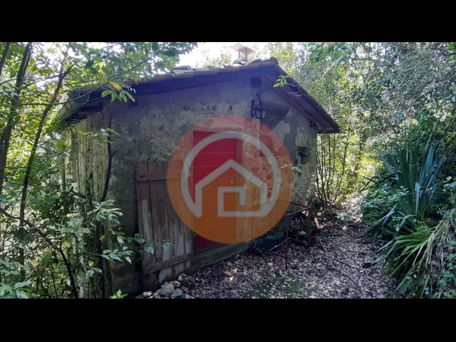 Appartamenti in Vendita - Rustico in vendita a gallicano periferia