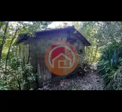 Appartamenti in Vendita - Rustico in vendita a gallicano periferia