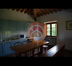 Appartamenti in Vendita - Rustico in vendita a camporgiano periferia