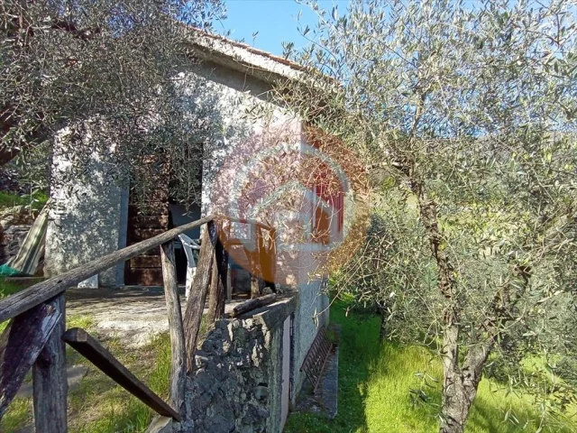 Appartamenti in Vendita - Rustico in vendita a borgo a mozzano periferia