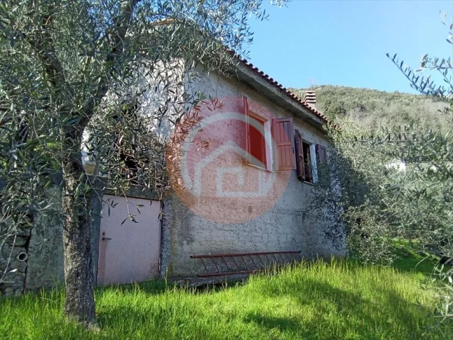 Appartamenti in Vendita - Rustico in vendita a borgo a mozzano periferia