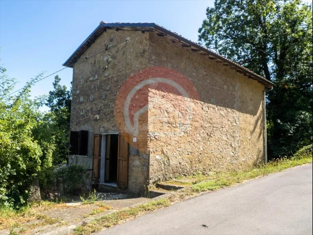 Casa indipendente in vendita a molazzana brucciano