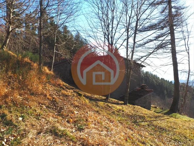 Appartamenti in Vendita - Rustico in vendita a coreglia antelminelli periferia