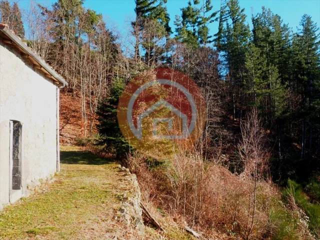 Appartamenti in Vendita - Rustico in vendita a coreglia antelminelli periferia