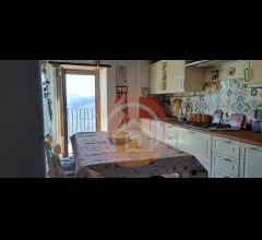 Appartamenti in Vendita - Casa indipendente in vendita a gallicano trassilico