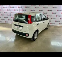 Auto - Fiat panda 1.3 mjt easy van 4 posti