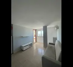Appartamenti in Vendita - Appartamento in affitto a anzio anzio colonia