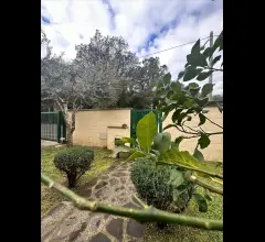 Appartamenti in Vendita - Villa bifamiliare in vendita a anzio villa claudia