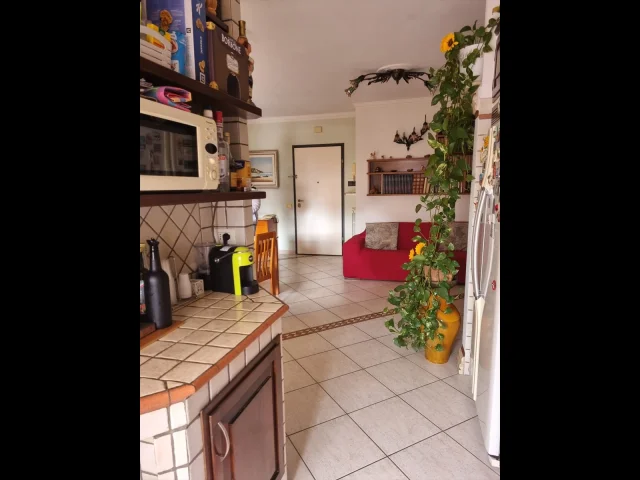 Appartamenti in Vendita - Appartamento in vendita a anzio lavinio stazione