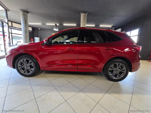 Auto - Ford kuga 2.0 ecoblue 120 cv aut. 2wd st-line