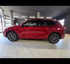 Auto - Ford kuga 2.0 ecoblue 120 cv aut. 2wd st-line
