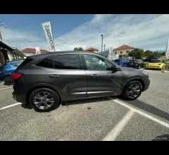 Auto - Ford kuga 1.5 ecoboost 150 cv 2wd st-line
