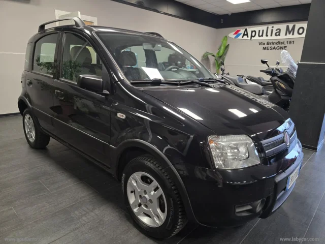 Fiat panda 1.2 dynamic natural power