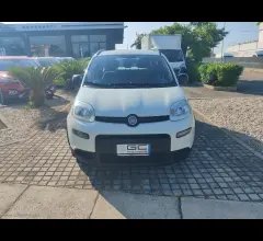 Auto - Fiat panda 1.0 firefly s&s hybrid city life