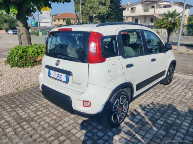 Auto - Fiat panda 1.0 firefly s&s hybrid city life
