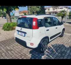 Auto - Fiat panda 1.0 firefly s&s hybrid city life