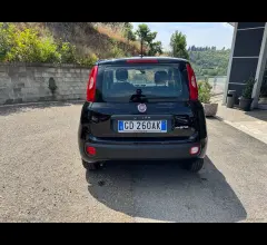 Auto - Fiat panda 1.0 firefly s&s hybrid