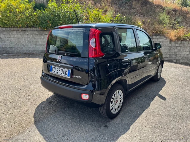 Auto - Fiat panda 1.0 firefly s&s hybrid