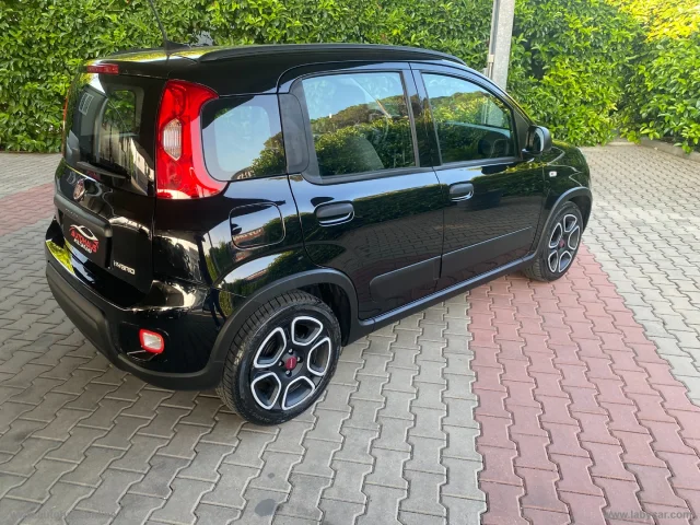 Auto - Fiat panda 1.0 firefly s&s hybrid city life