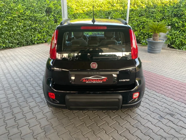 Auto - Fiat panda 1.0 firefly s&s hybrid city life