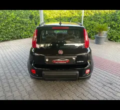 Auto - Fiat panda 1.0 firefly s&s hybrid city life