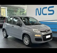 Auto - Fiat panda 1.2 easy