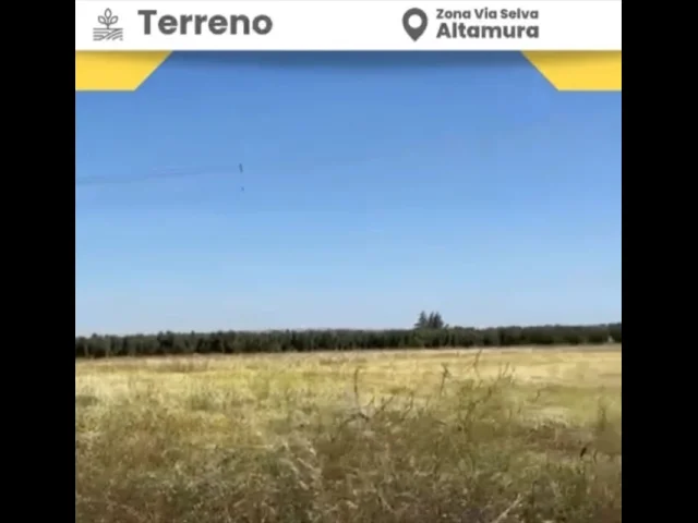 Appartamenti in Vendita - Terreno agricolo in vendita a altamura via selva