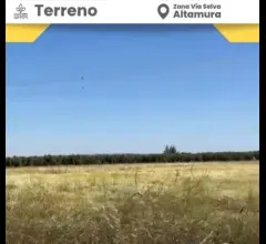 Terreno agricolo in vendita a altamura via selva