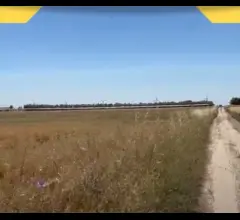 Appartamenti in Vendita - Terreno agricolo in vendita a altamura via selva