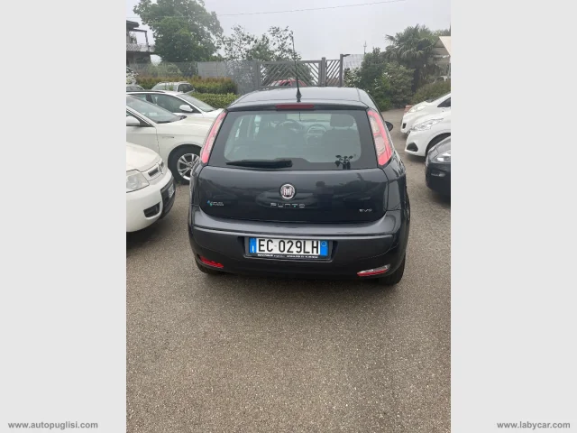 Auto - Fiat punto 1.4 8v 5p. natural power lounge