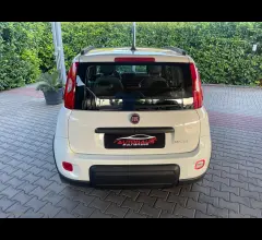 Auto - Fiat panda 1.0 firefly s&s hybrid city life
