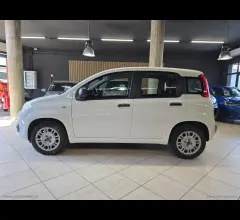 Auto - Fiat panda 1.2 pop
