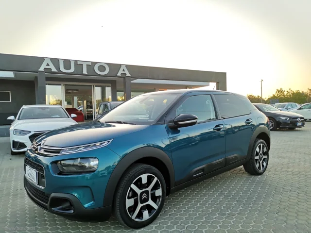 Citroen c4 cactus bluehdi 100 s&s shine